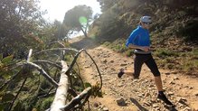 El cinturón Freexion X-Pert Belt presenta un diseño innovador.