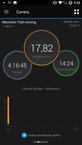Garmin Fenix 5X: Resmenes