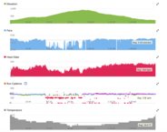 Ejemplo de ver cmo ves los datos de una carrera