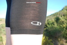 Icebreaker Drive Shorts