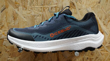 Icebug Myr