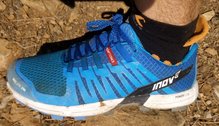 Inov-8 Roclite 290 - Adapterweb