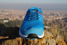 Inov-8 Roclite 290