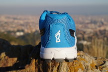 Inov-8 Roclite 290