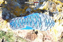 Inov-8 Terrafly 303