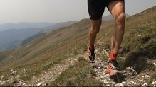Inov-8 TrailFly Max. Distancias de maratón en adelante.