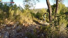 Seguridad gracias a que el pie queda inmóbil en las  Inov-8 Trailtalon 275.