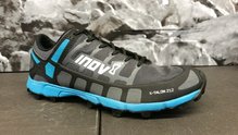 Inov-8 X-Talon 230