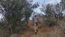 Opción excelente para los días de series o fartleks