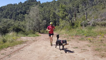 En pista de terreno seco y compacto se comportan de maravilla