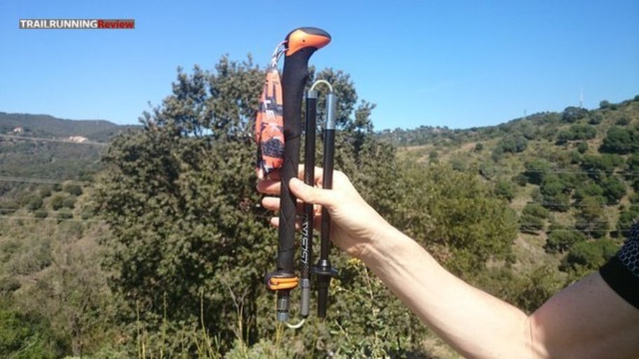 >Leki Micro Vario Carbon