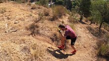 Leki Ultratrail FX.One: Corriendo con los Leki