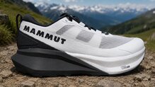 Analisis de Mammut