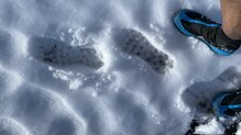 Merrell Agility Peak 5 Zero Gore-Tex. Perfecta respuesta en nieve blanda