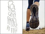 Merrell Agility Peak Flex: suela inspirada en los huesos del pie