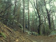 Merrell Agility Peak Flex: los terrenos tcnicos secos y bosques son donde ms cmodos hemos corrido
