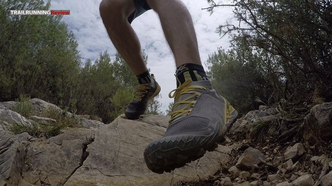 Merrell All Out Terra Trail