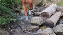 MERRELL BRAVADA 2 WP: Buena impermeabilidad siempre y cuando no nos entre el agua por el collar de la zapatilla