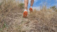 Merrell Pro Morph: Buena zapatilla para salir de casa y correr kilómetros y kilómetros