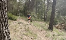 Buena estabilidad en terrenos compactos