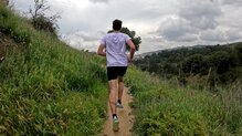 Ideales para aquellos corredores que quieran tener un solo par de zapatillas