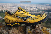 Mizuno Wave Harrier 2