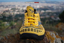 Mizuno Wave Harrier 2