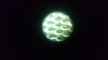 Vista microscópica del upper de las Mizuno Wave Mujin 3 GTX