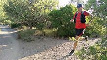 Montane Gecko: Ideal para correr en verano