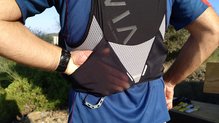 Montane Gecko: Compartimentos laterales abiertos, muy, muy accesibles