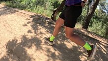 Mount to Coast H1