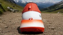 Mount to Coast H1