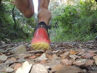 Chasis rígido del talon