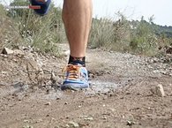 Soporta bien cantidades moderadas de agua