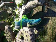 New Balance Vazee Summit W, el asfalto llevado al trail.