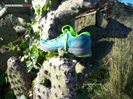 El talón de las New Balance Vazee Summit W viene con el sistema Talón de Aquiles consiguiendo sujetar correctamente la zona.