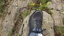 New Balance Vazee Summit v2 en roca