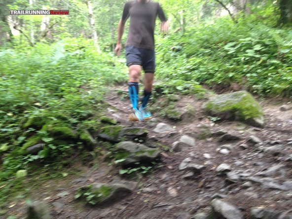 Newton running best sale boco
