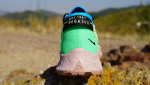 Nike Pegasus Trail 2