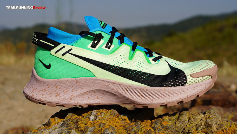 Pegasus 2 nike 2025
