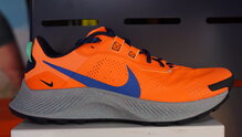 Nike Pegasus Trail 3