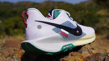 Nike Pegasus Trail 5