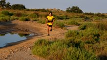 Nvii Terra TT: Perfectas para correr campo a través.