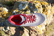 Patagonia Fore Runner