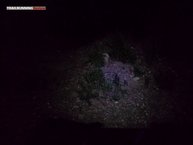 Iluminación en modo ahorro.
