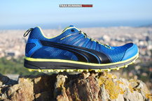 Puma Faas 300 TR