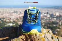 Puma Faas 300 TR