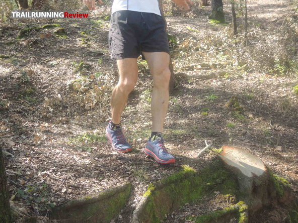 Puma speed ignite trail on sale
