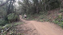 Ronhill Freedom Ultra: Comportamiento dinámico en carrera afrontando senderos prolongados en mitad de la naturaleza.