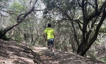 La estabilidad de la pisada en terrenos compactos es sobresaliente